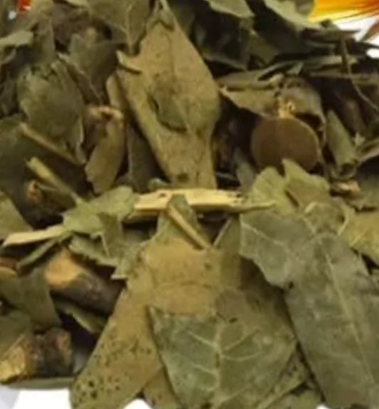 Loquat (Nipero) | Antioxidant & Immune Support