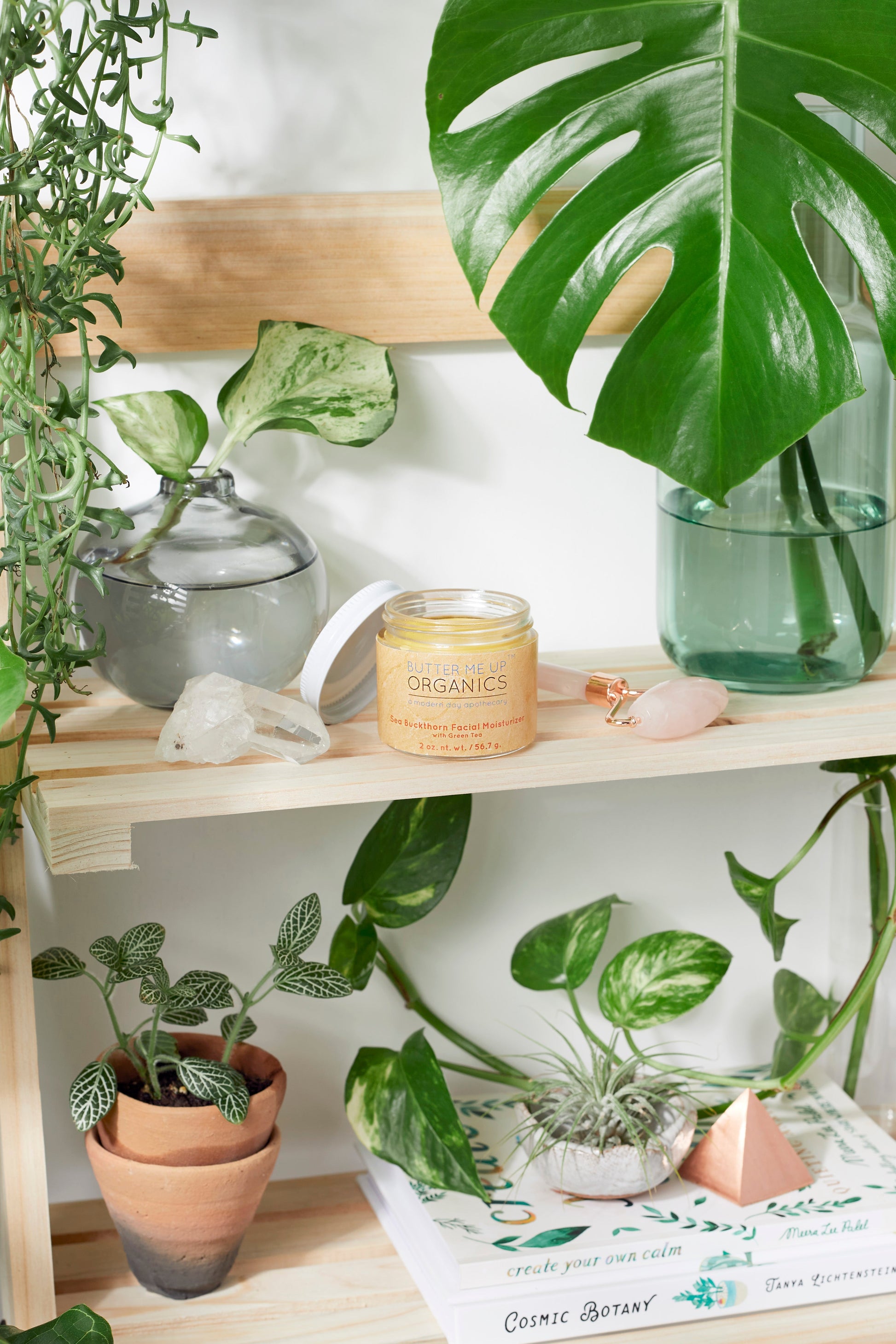 Sea Buckthorn Facial Moisturizer / Organic Face Moisturizer / Facial Care / Face Nutrition - Concordia Style Boutique