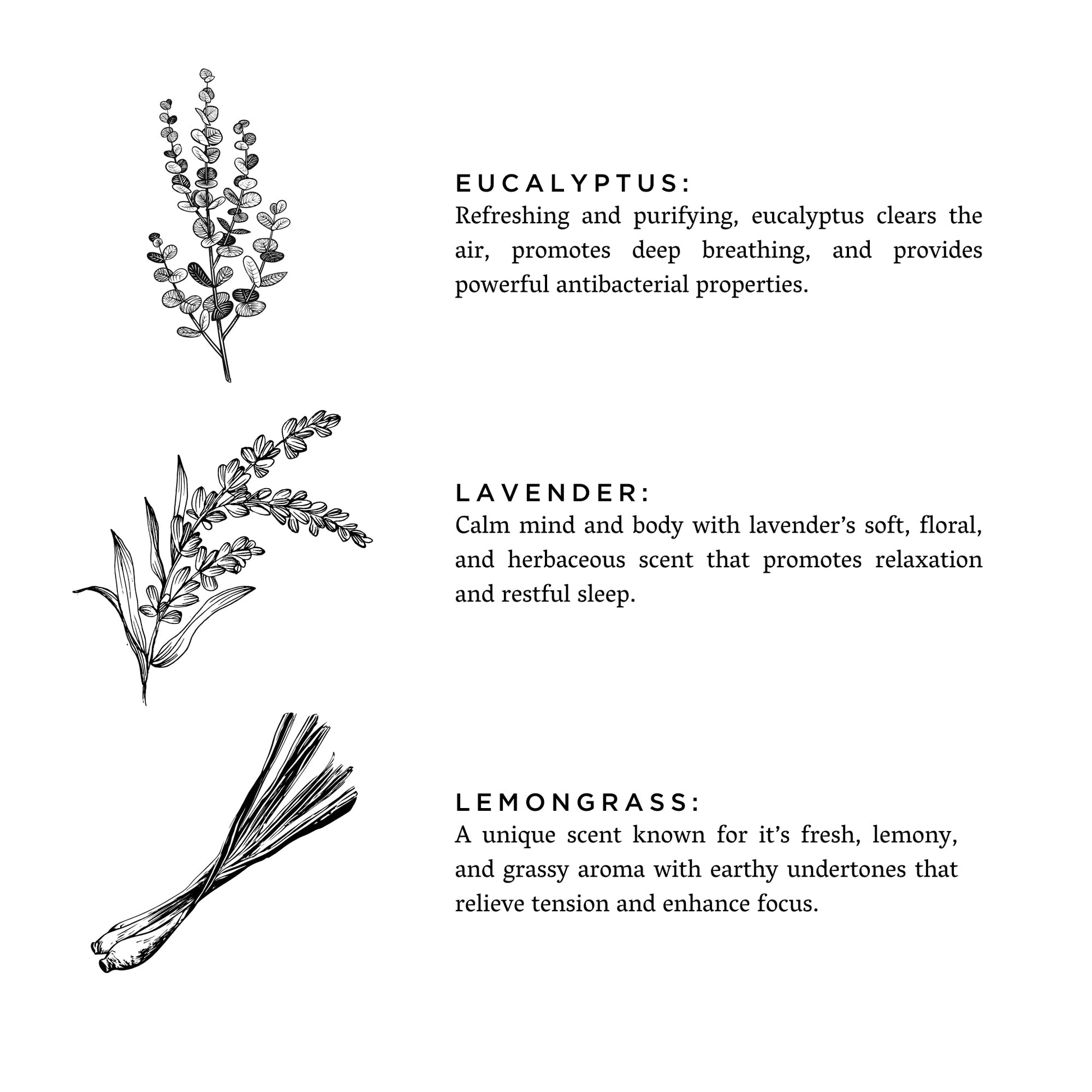 Shangri-La - Reed Diffuser - Concordia Style Boutique