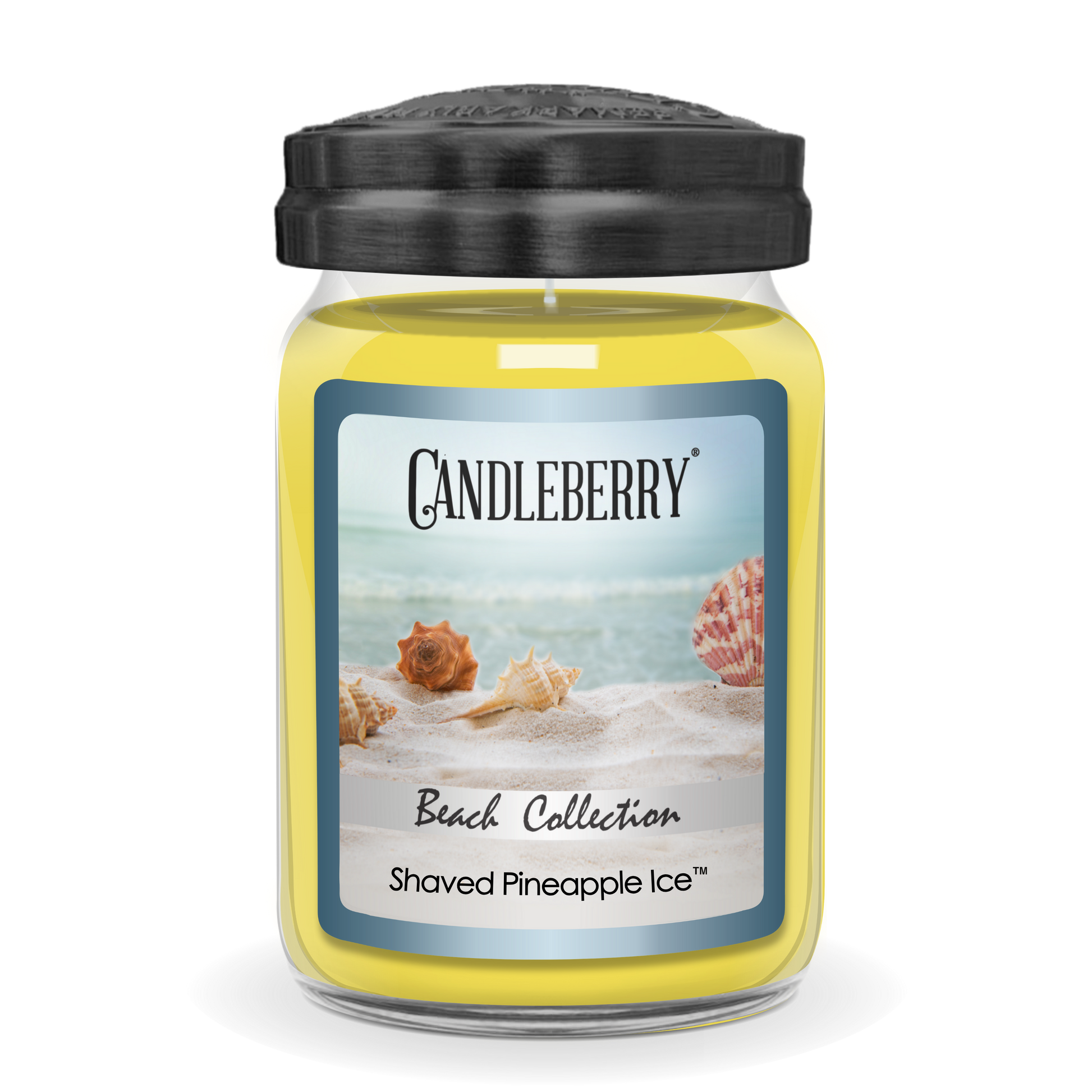 Beach Collection - Shaved Pineapple Ice™, Large Jar Candle (Collective) - Concordia Style Boutique