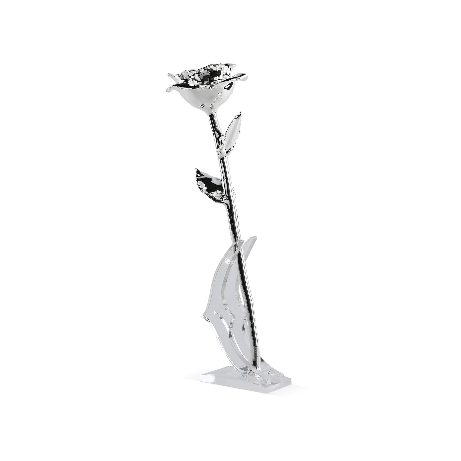 Timeless Rose (Silver) - Concordia Style Boutique