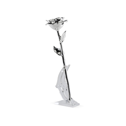 Timeless Rose (Silver) - Concordia Style Boutique