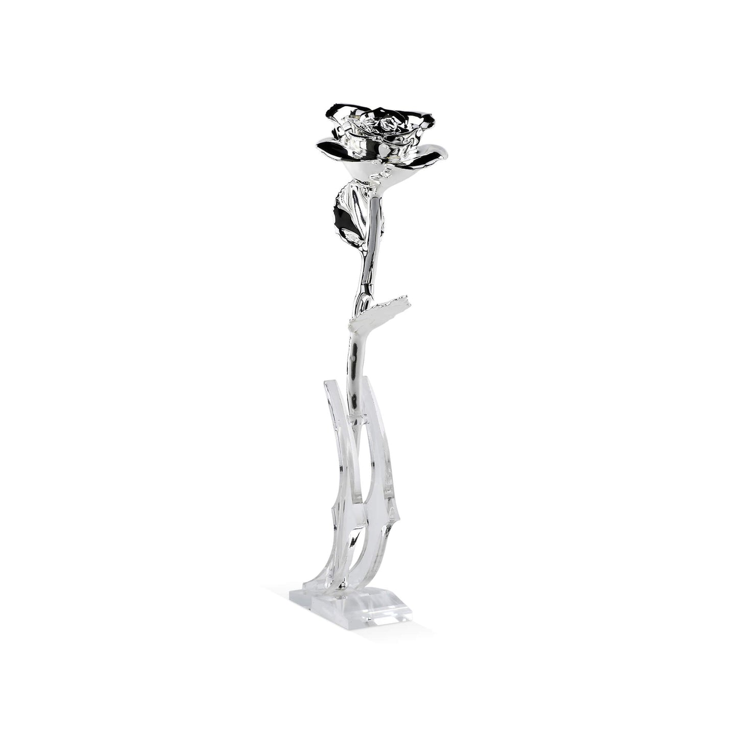 Timeless Rose (Silver) - Concordia Style Boutique