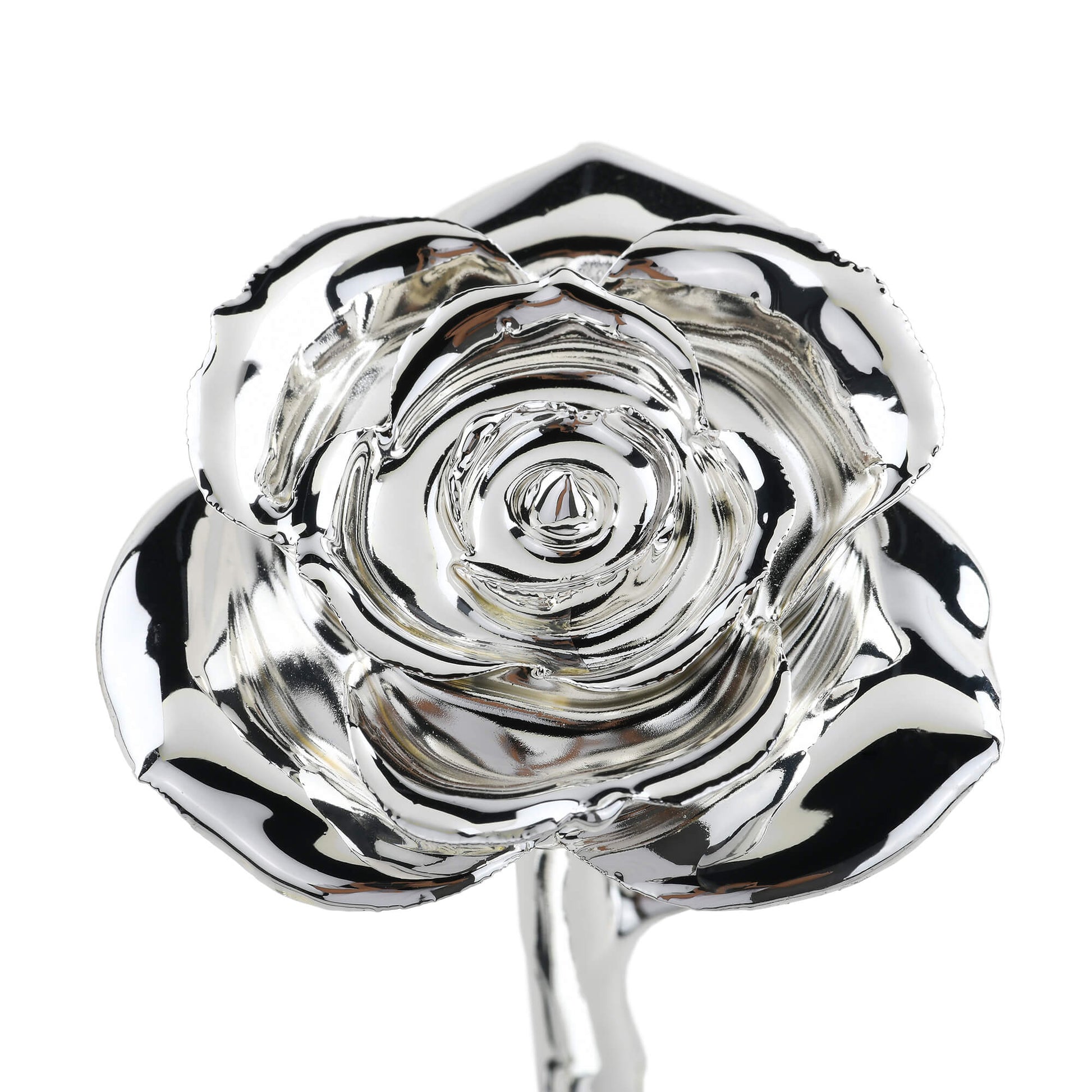 Timeless Rose (Silver) - Concordia Style Boutique