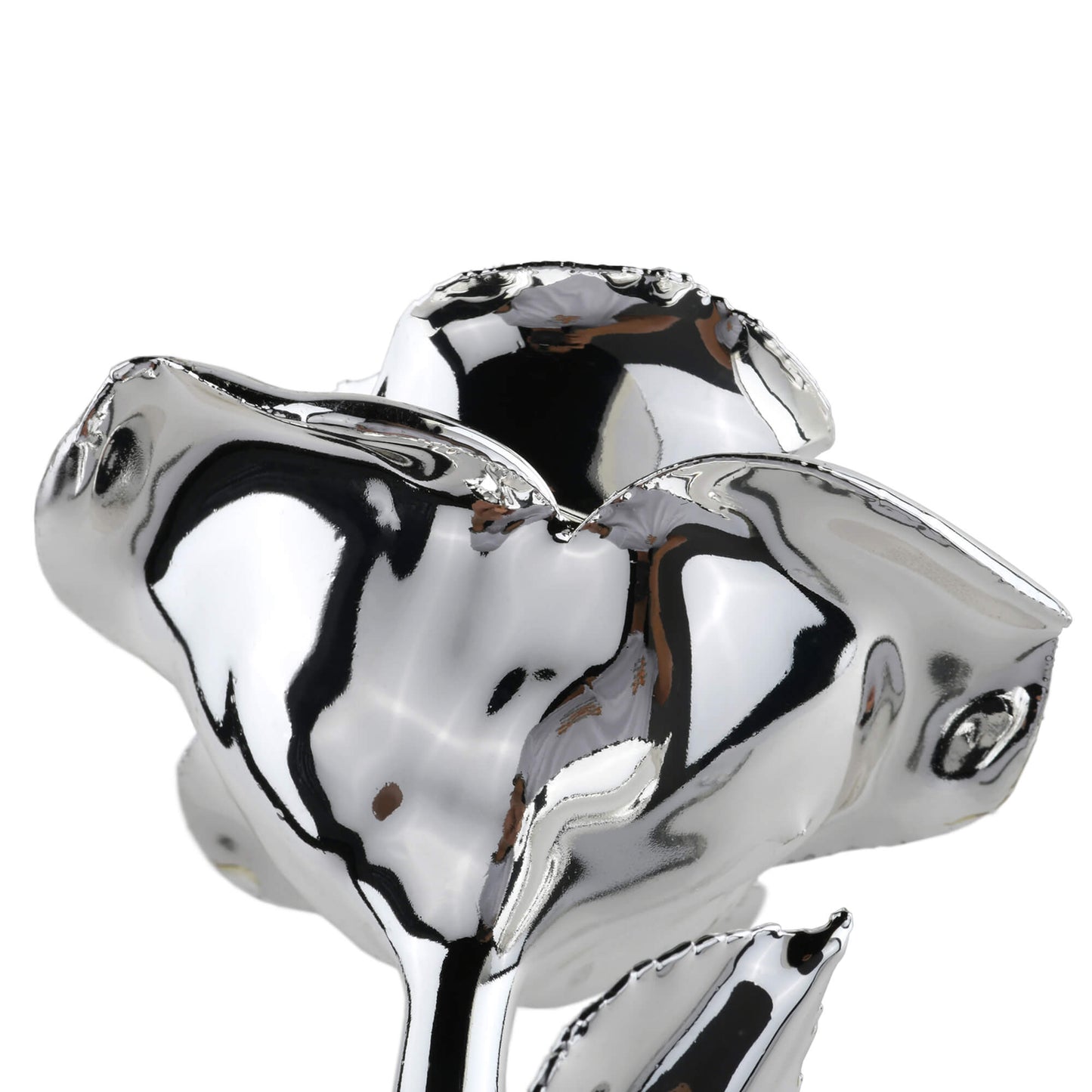 Timeless Rose (Silver) - Concordia Style Boutique