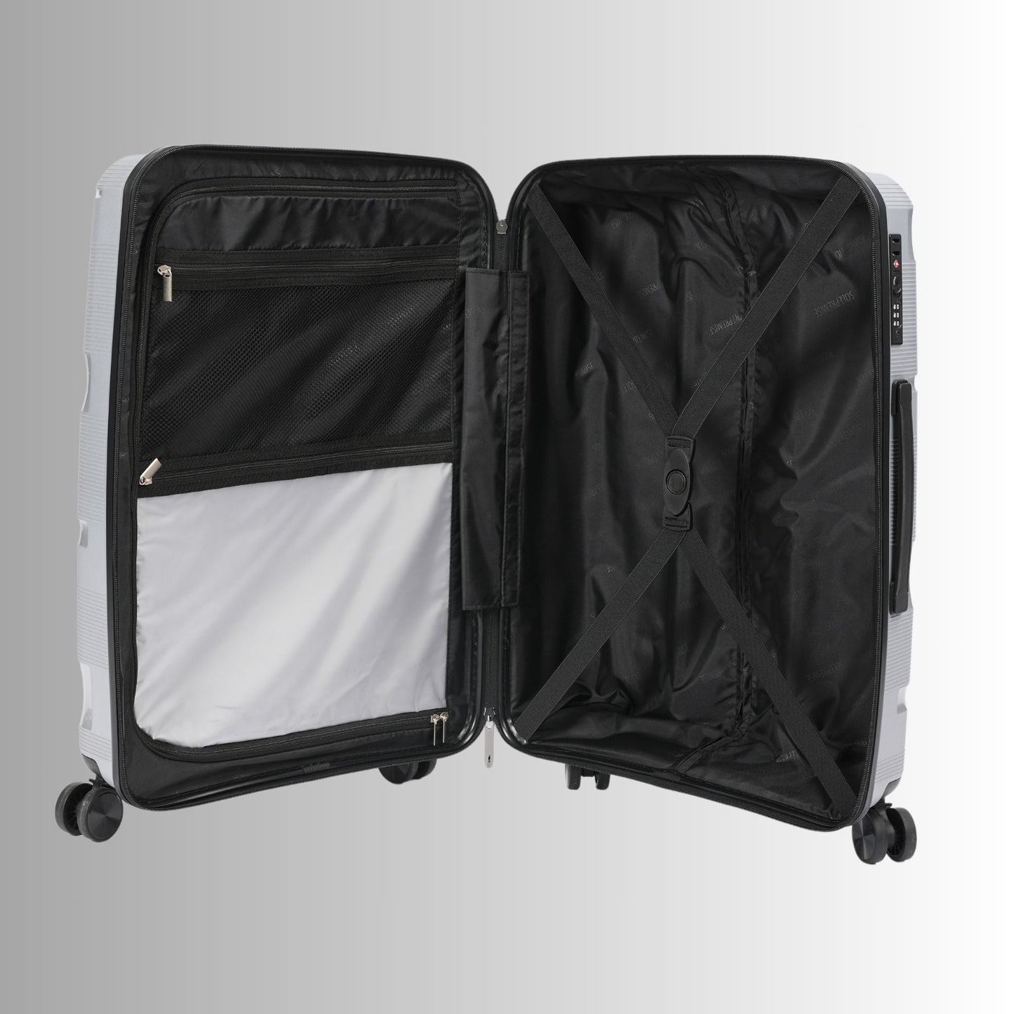 20-inch Silver Carry-On Hardcase Roller Luggage with 360° Wheels