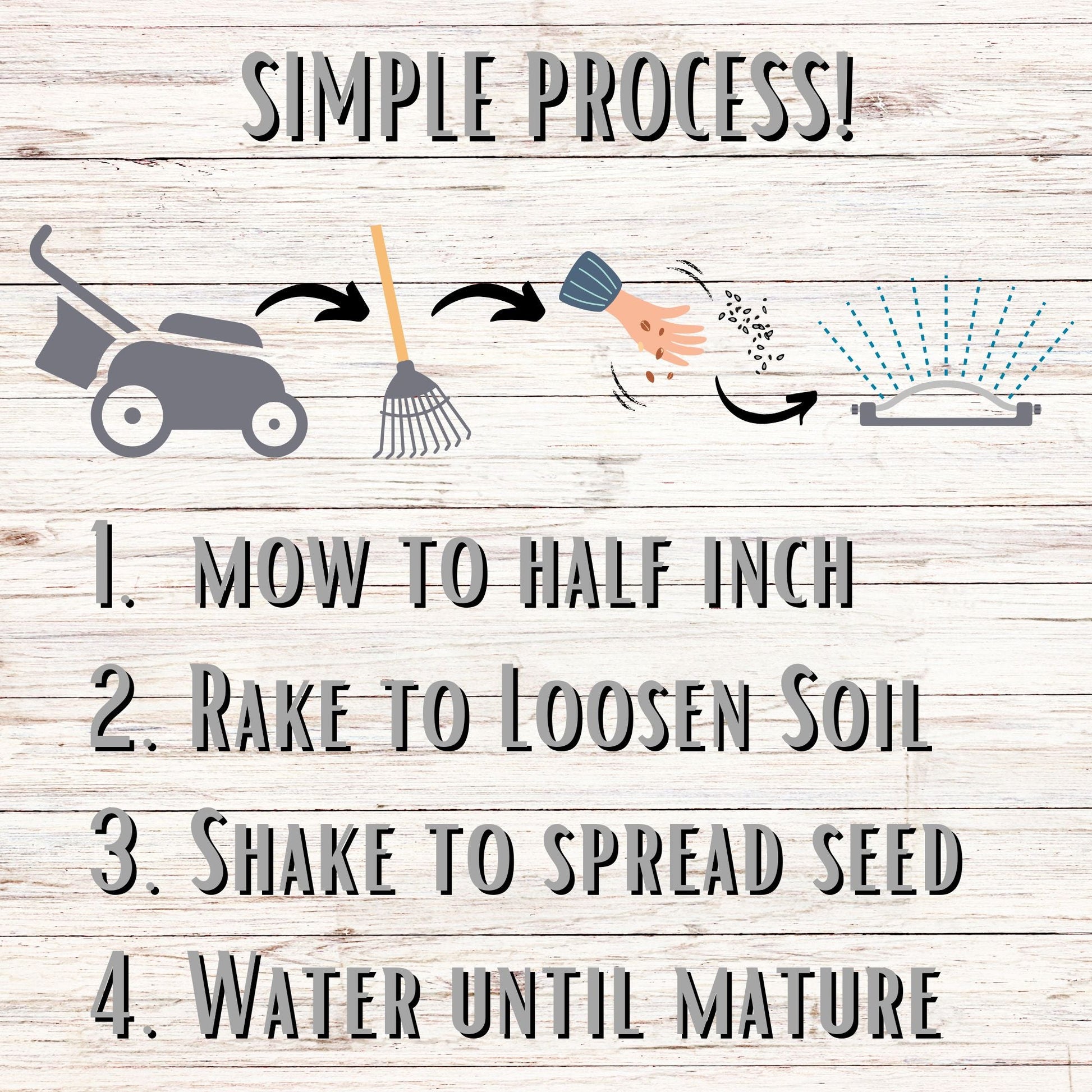 Sweet Alyssum Carpet Of Snow Seed Pouch - Concordia Style Boutique