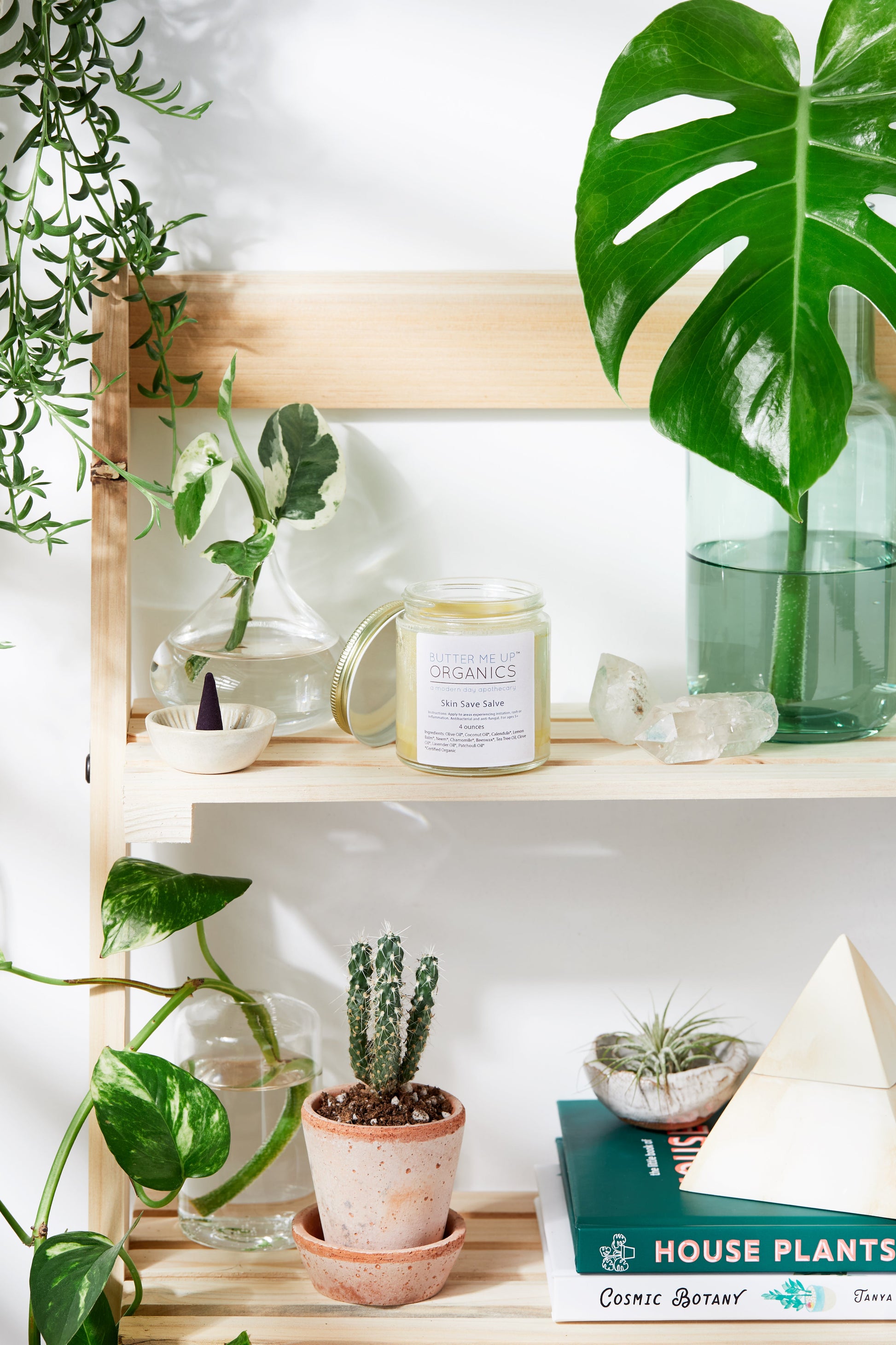 Skin Save Salve / Organic / Herbal Fungal Salve / Anti Fungal / Antibacterial - Concordia Style Boutique