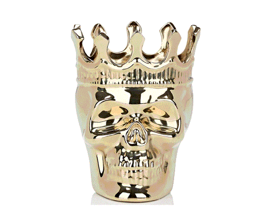 Gold Bonaparte Skull in Wood Charnel - Concordia Style Boutique