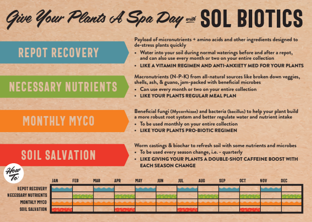 Sol Biotics - Necessary Nutrients - Concordia Style Boutique