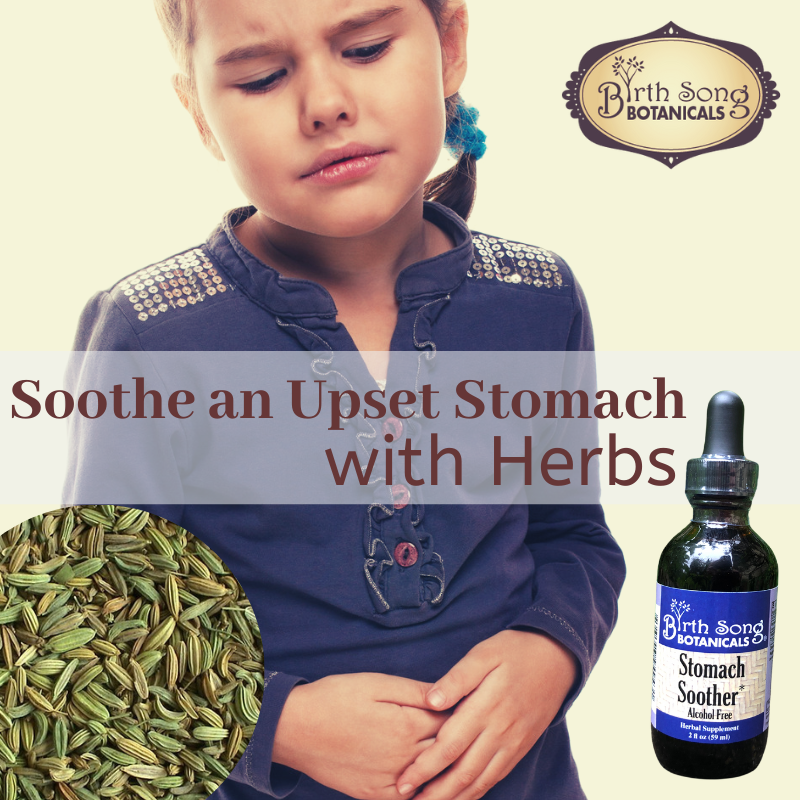 Stomach Soother Herbal Digestive Aid Tincture - Concordia Style Boutique