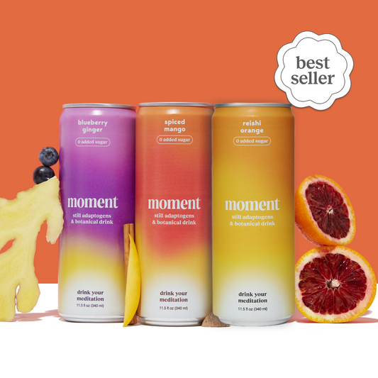 bestsellers (botanical tea | 24 pack) - Concordia Style Boutique