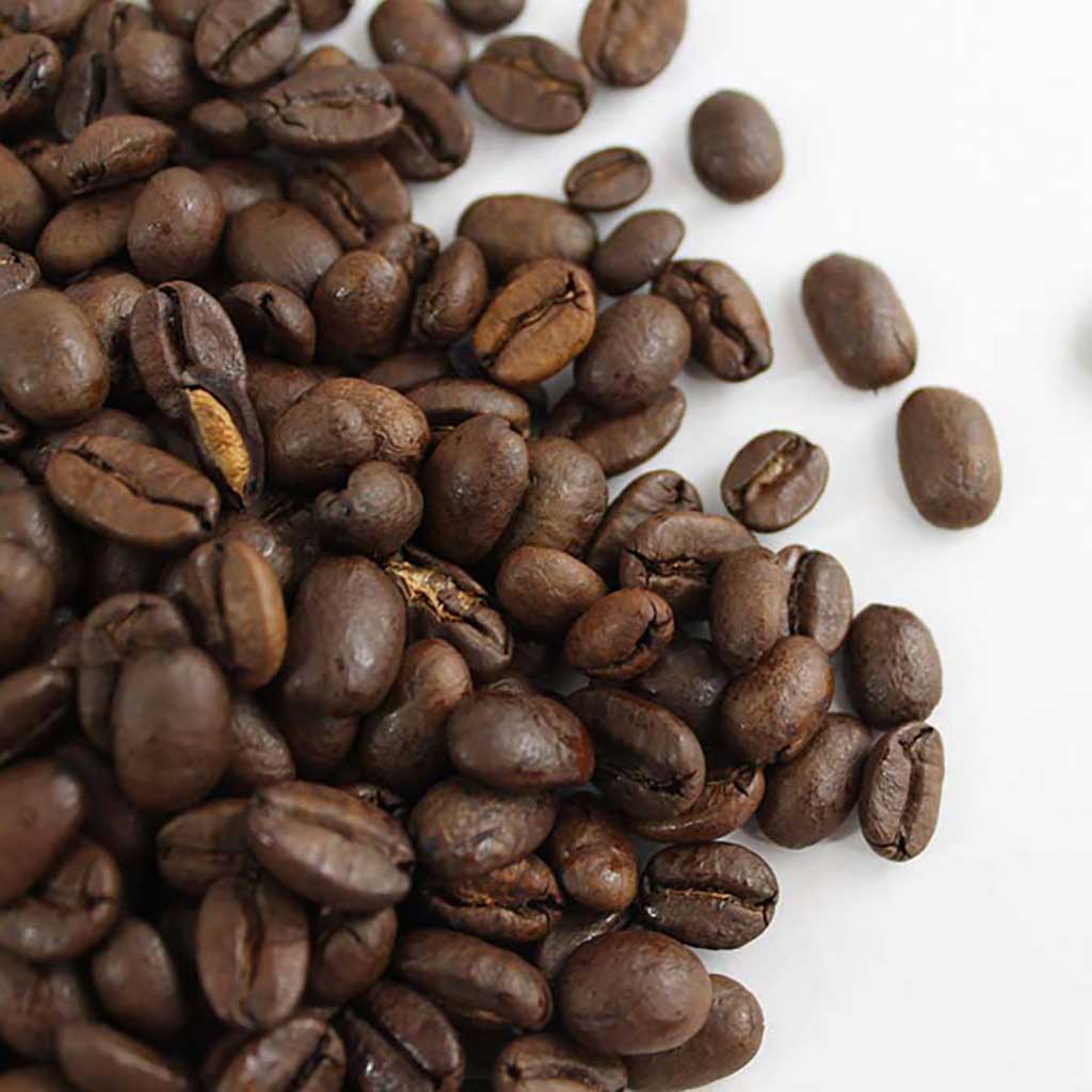 Organic Sumatra Whole Bean Coffee Single Origin - Concordia Style Boutique