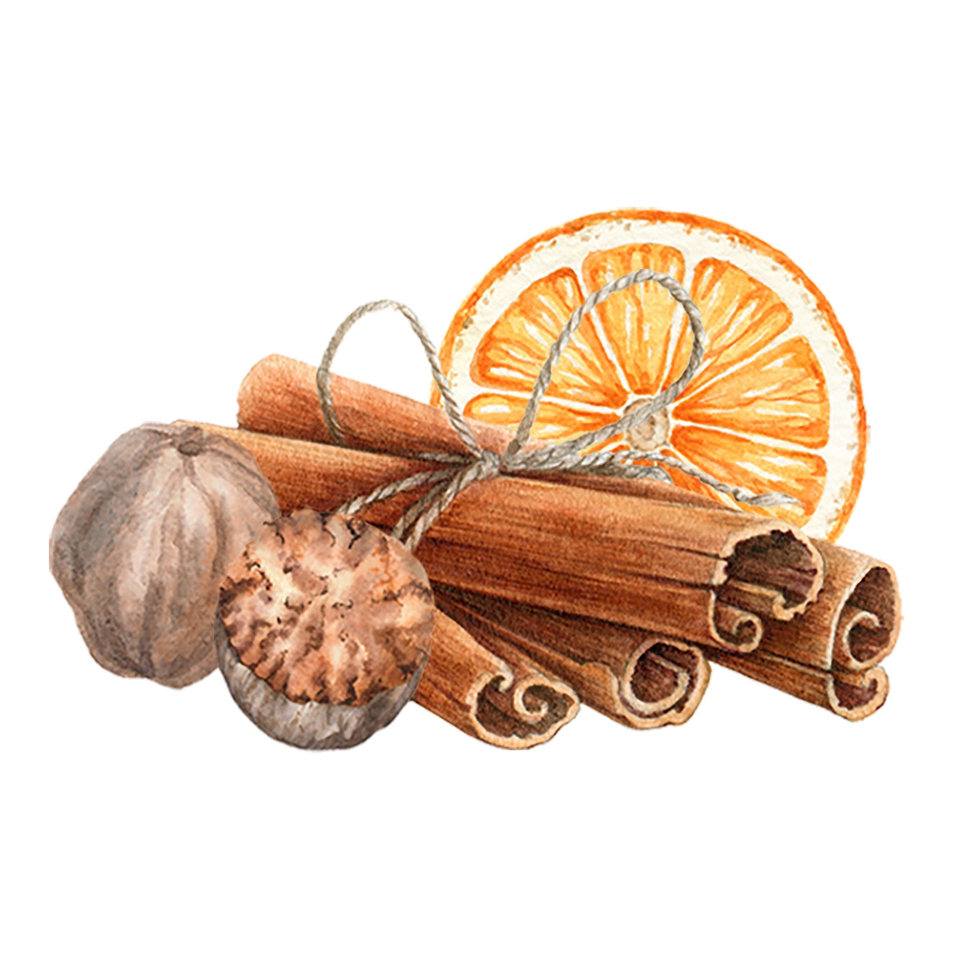 Sweet Orange & Warm Spices Essential Oil Blend - Concordia Style Boutique