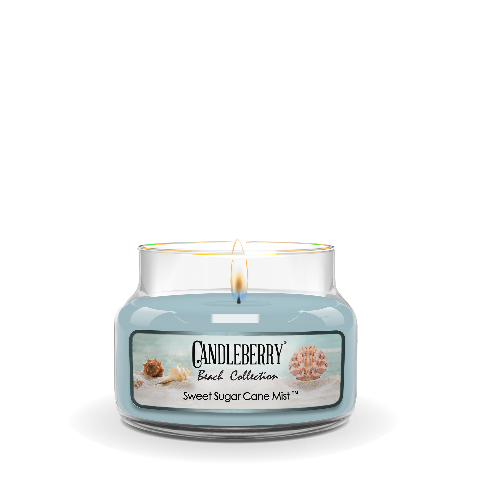 Beach Collection - Sweet Sugar Cane Mist™, Small Jar Candle (Collective) - Concordia Style Boutique