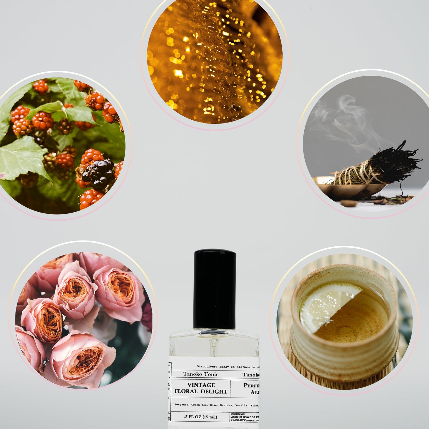 Perfume Sample Pack | One Vial of Each Scent - Concordia Style Boutique