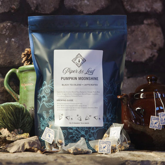Pumpkin Moonshine Bulk Sachets - 70ct Tea Bags