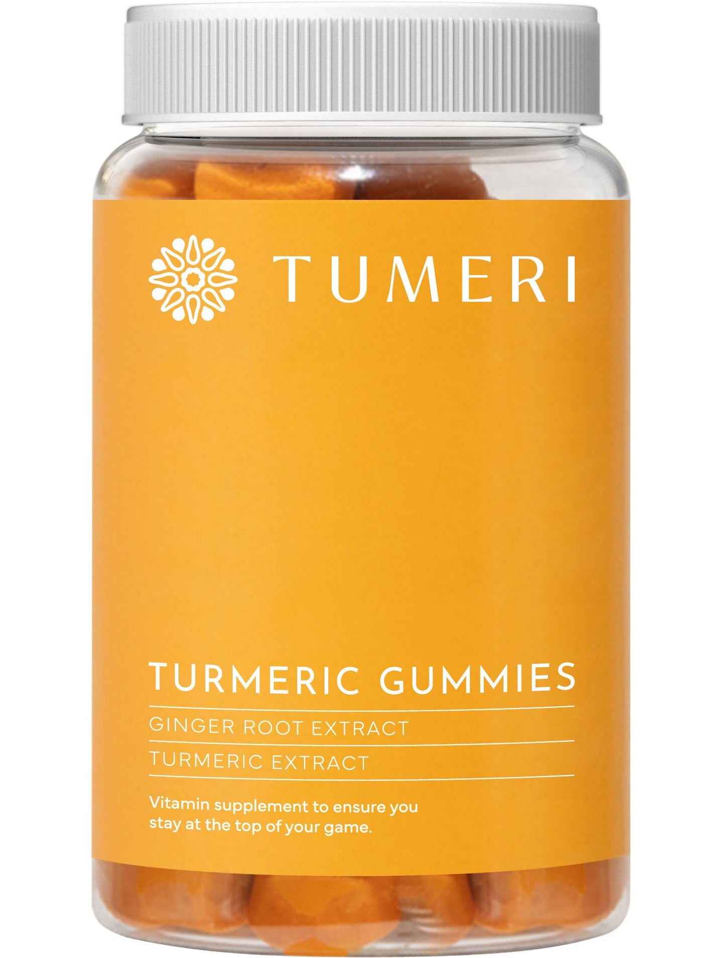 Turmeric Total Wellness Kit - Concordia Style Boutique