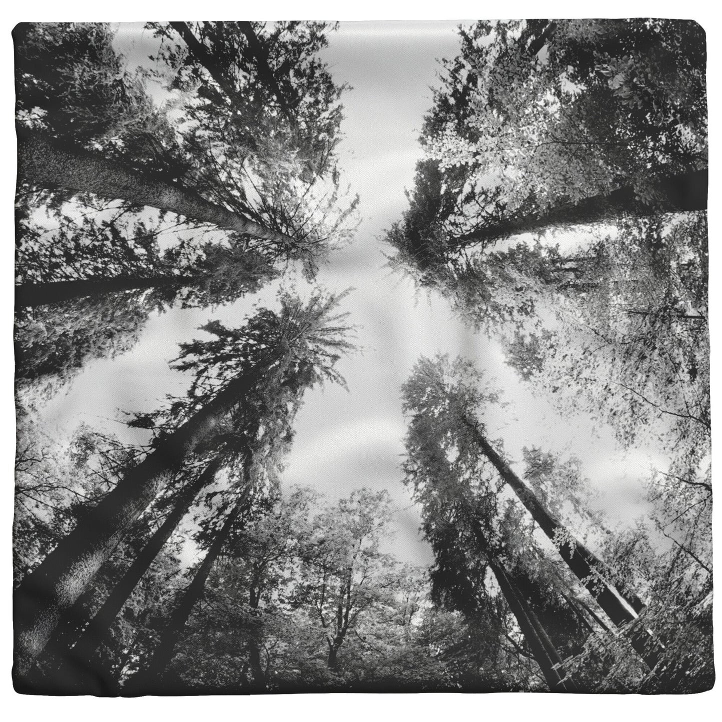 "Tall Trees" Throw Pillow