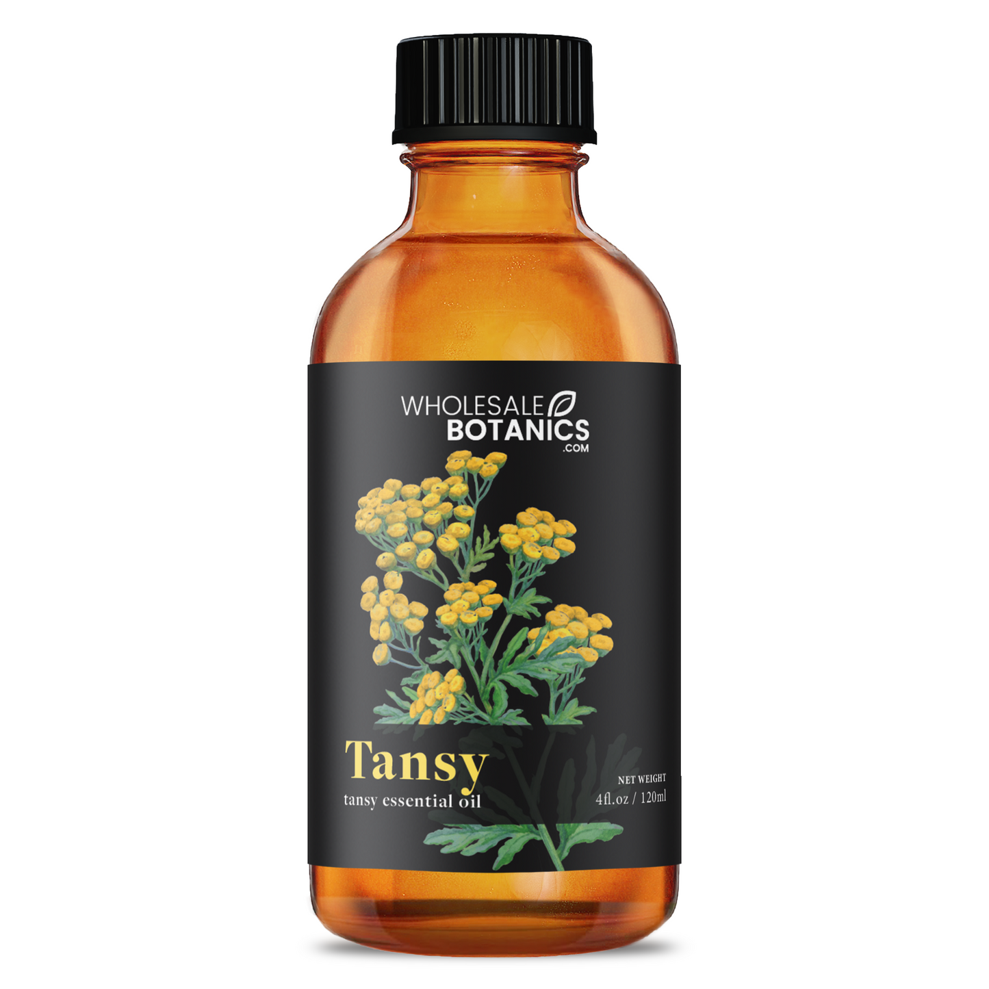 Tansy Essential Oil