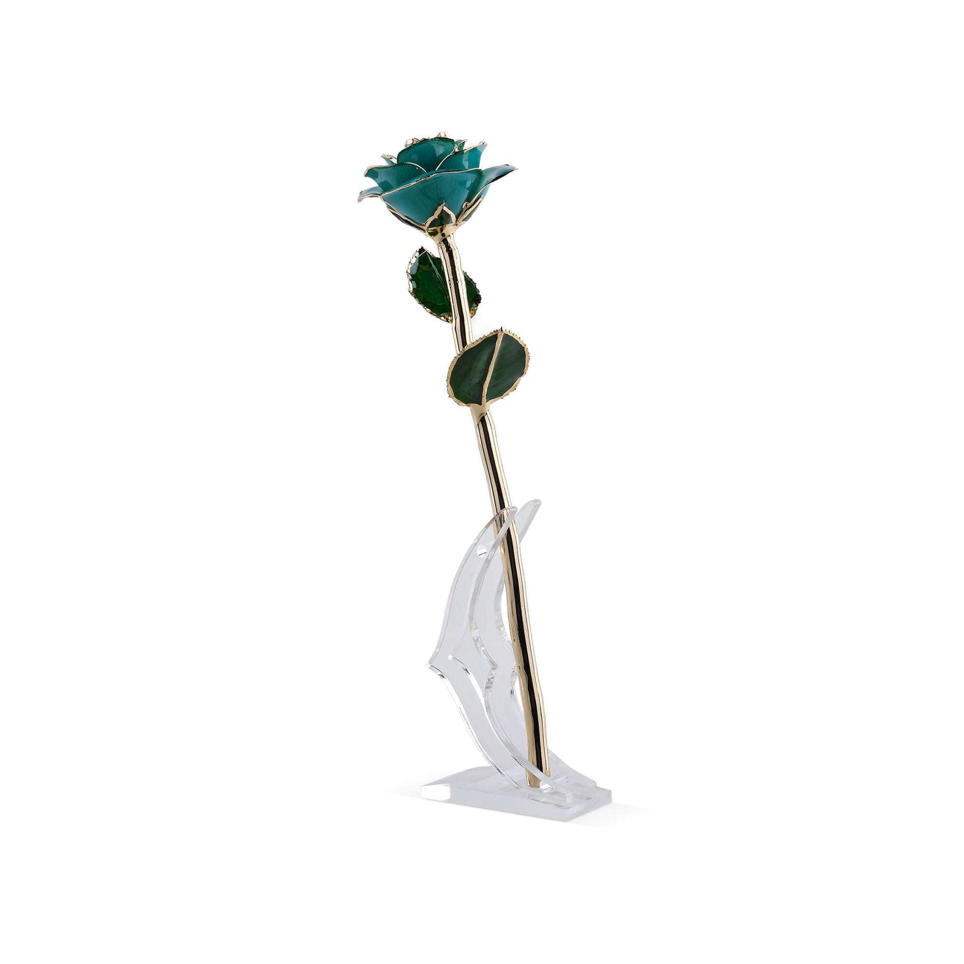 Timeless Rose (Teal) - Concordia Style Boutique