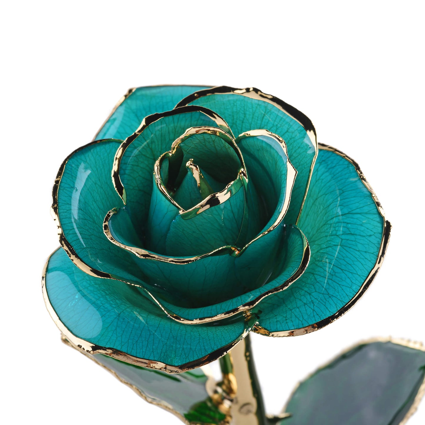 Timeless Rose (Teal) - Concordia Style Boutique