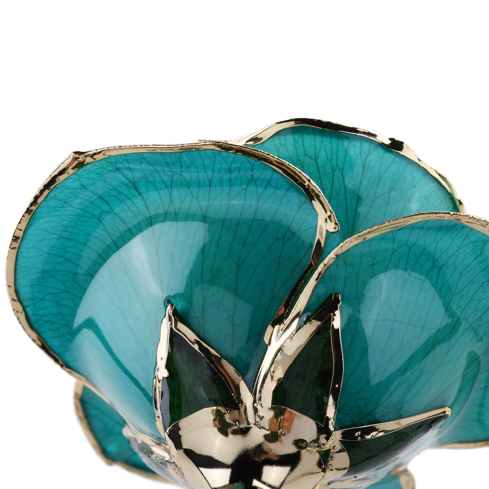 Timeless Rose (Teal) - Concordia Style Boutique