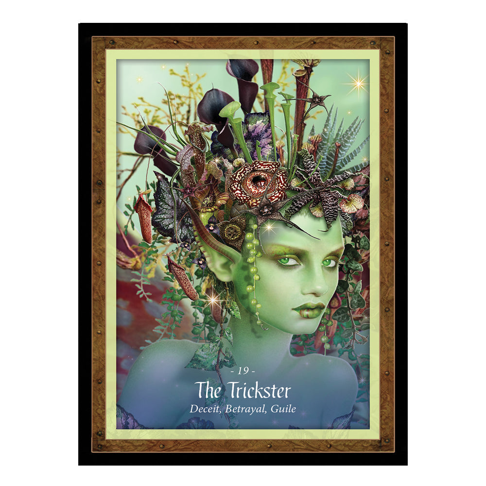 The Faery Forest: An Oracle of the Wild Green World - Concordia Style Boutique