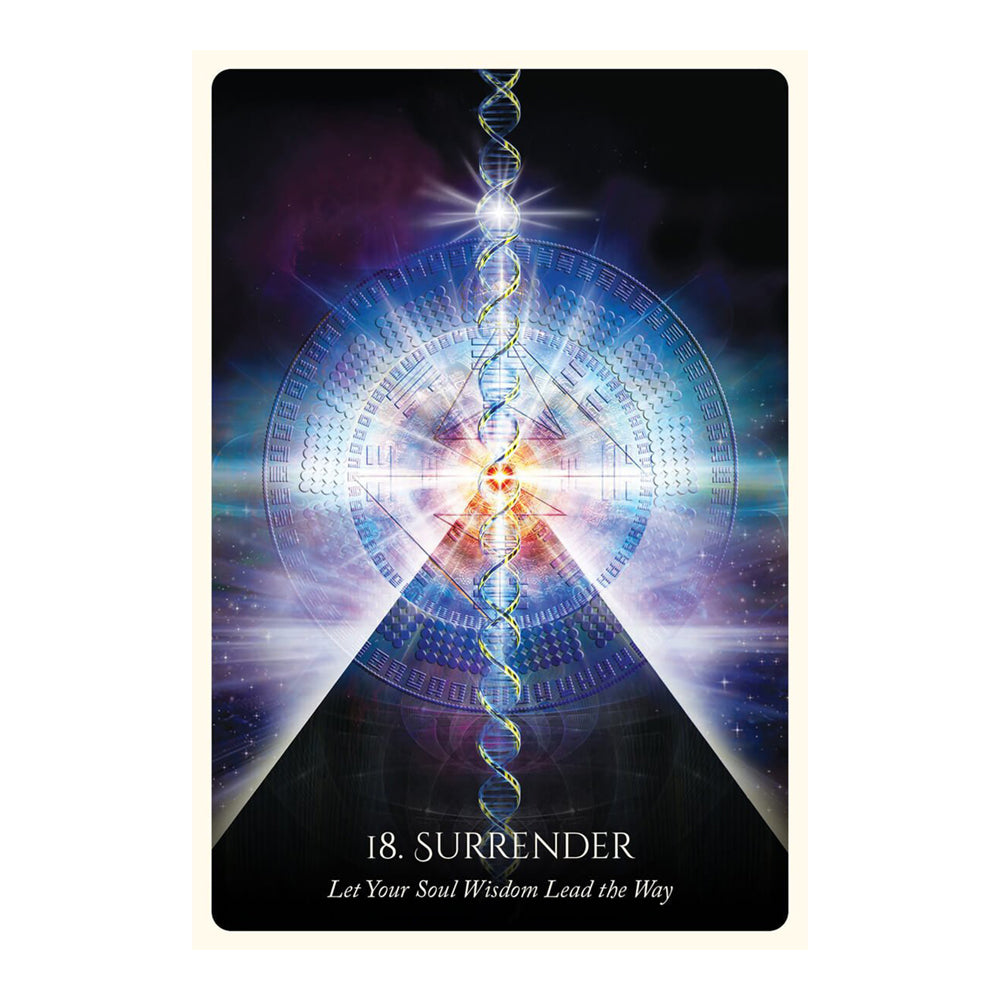The Secret Language of Darkness - Concordia Style Boutique