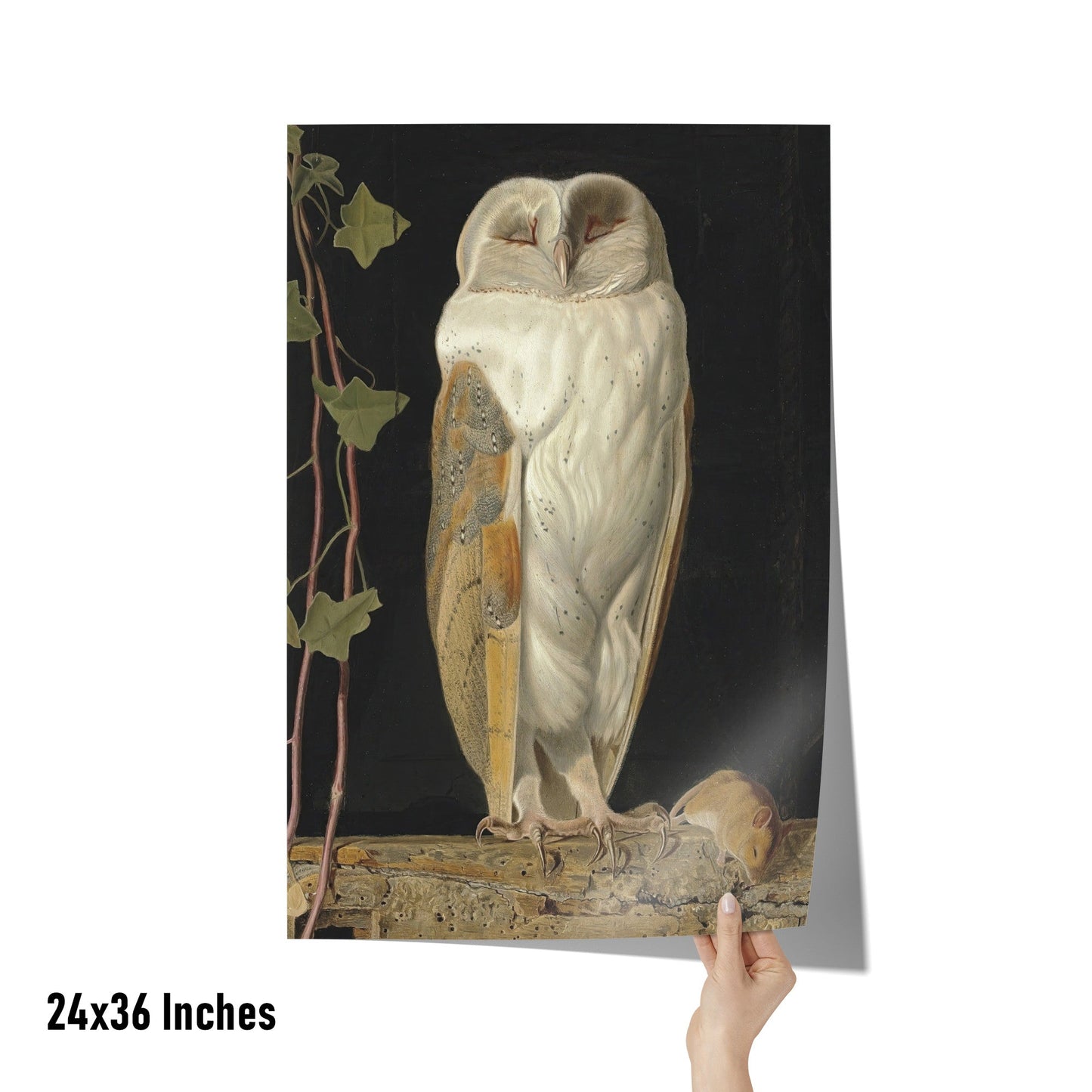 "The White Owl" by William James Webbe Matte Poster