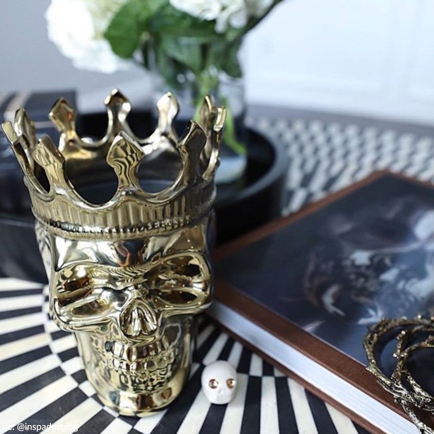 Gold Bonaparte Skull in Wood Charnel - Concordia Style Boutique