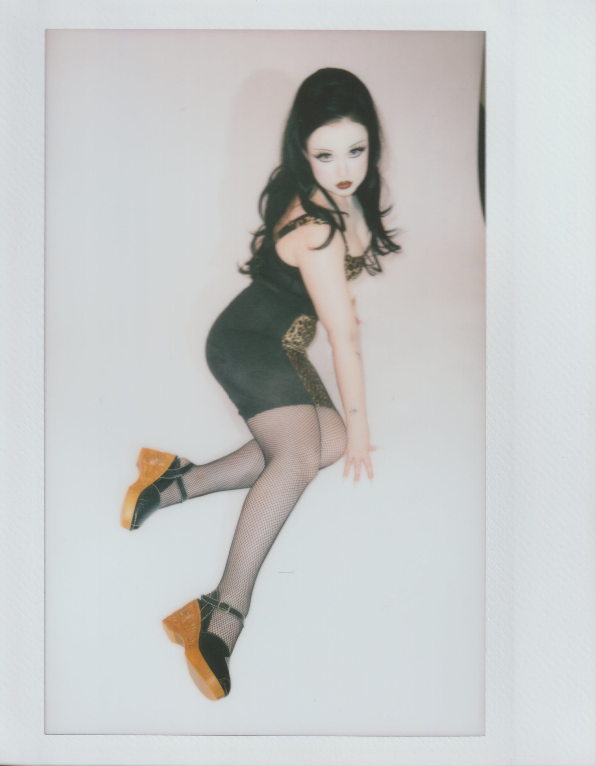 the Momento Mori - in Black Snake on Natural - Concordia Style Boutique