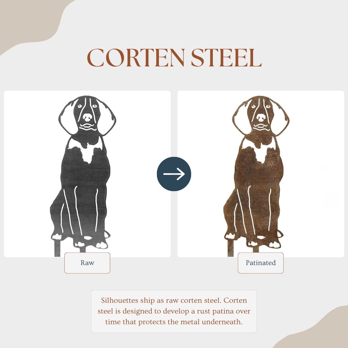 Treeing Walker Coonhound