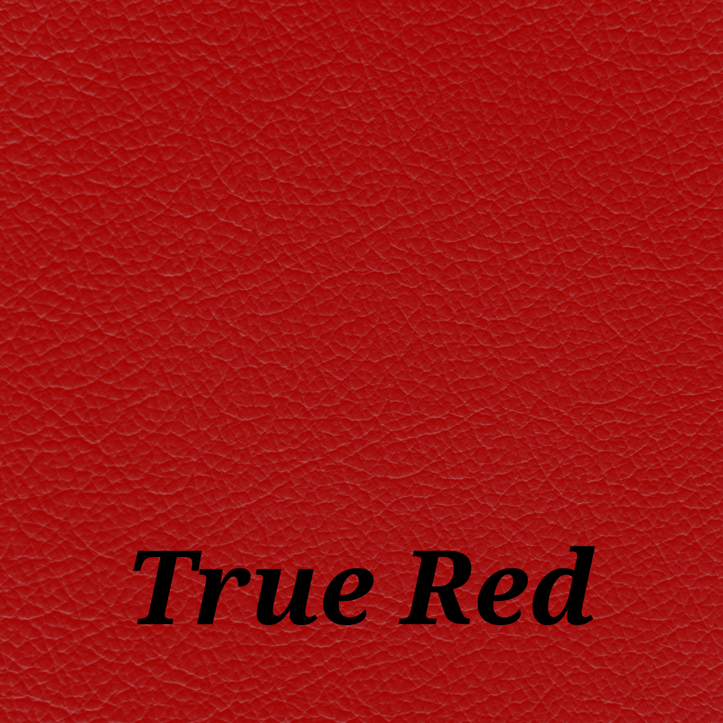 Exotic Leather & Vinyl Dye – Bright Custom Colors