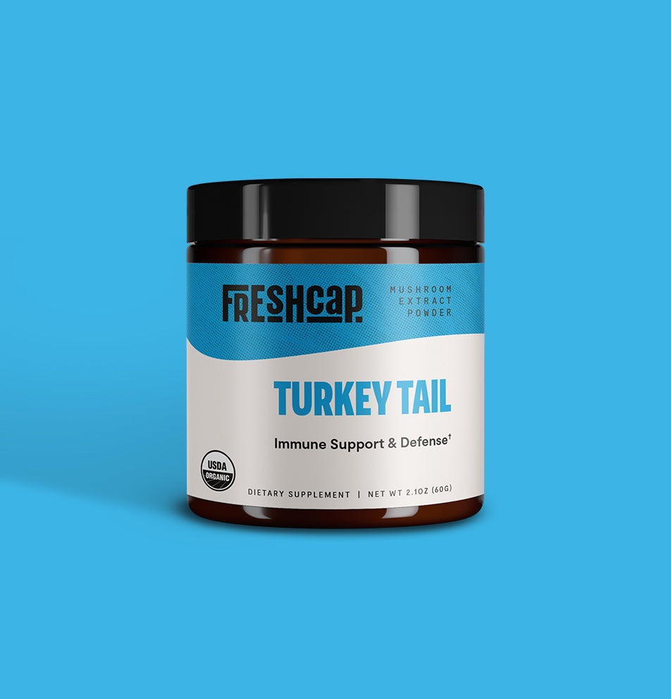 Turkey Tail Mushroom Extract Powder - Concordia Style Boutique