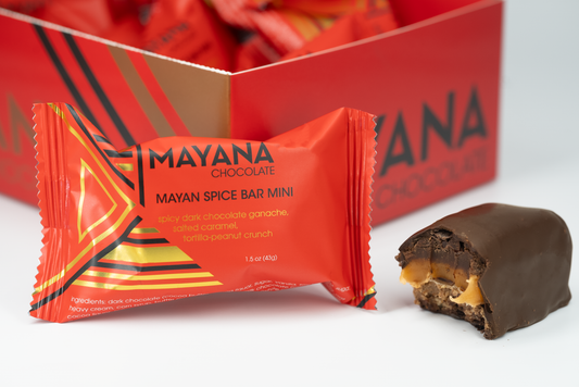 Mayan Spice Bar // 10 Count - Concordia Style Boutique