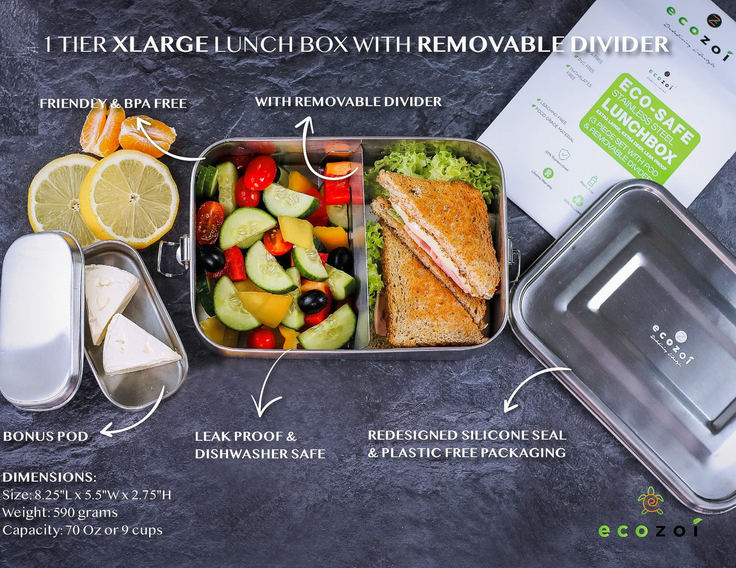 Stainless Steel Lunch Box, 2 Compartment Leak Proof, 50 Oz with Removable Divider - Concordia Style Boutique