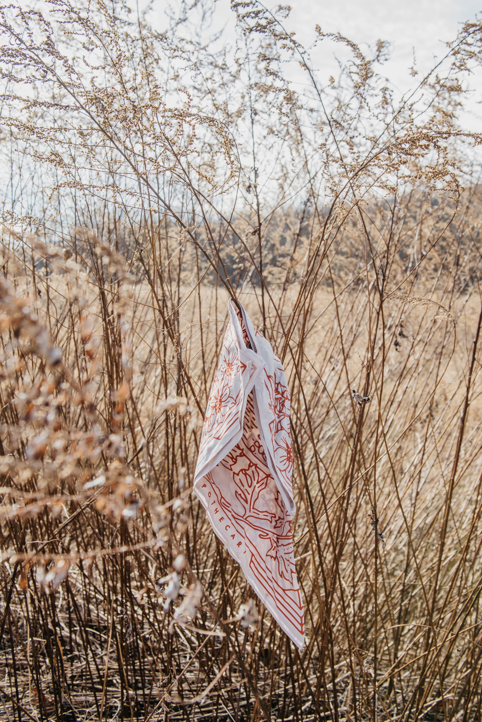 Yuba Bandana - Concordia Style Boutique