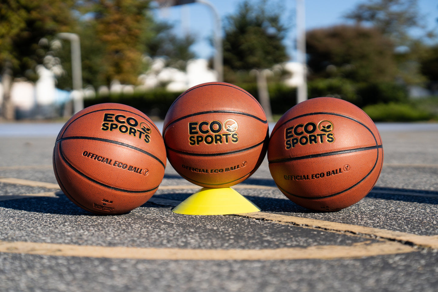 29.5" Men's Basketball - Size 7 Indoor Basketballs - Premium Basketball Ball from Eco Sports - Just $23.99! Shop now at Concordia Style Boutique