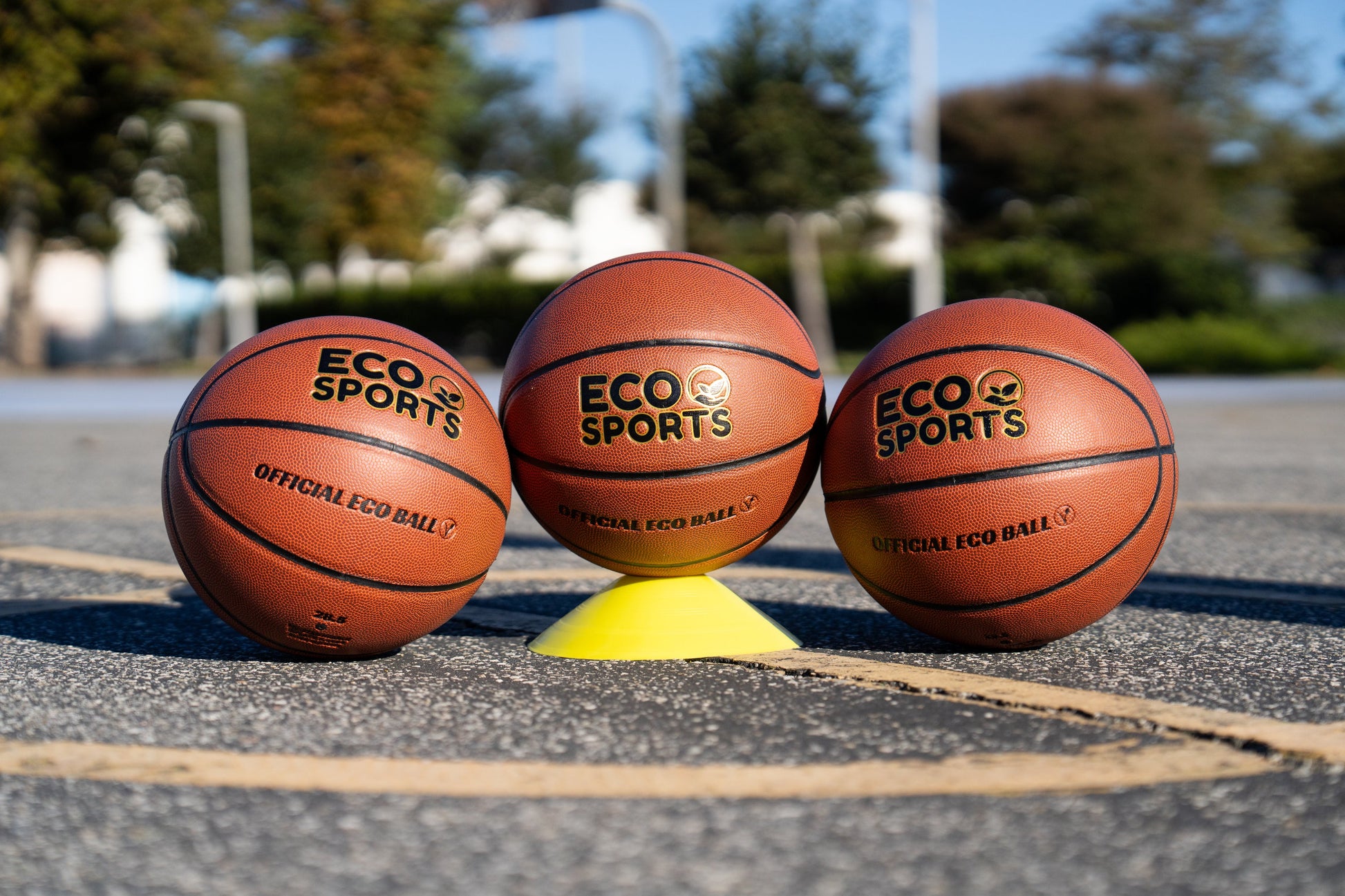 29.5" Men's Basketball - Size 7 Indoor Basketballs - Premium Basketball Ball from Eco Sports - Just $23.99! Shop now at Concordia Style Boutique