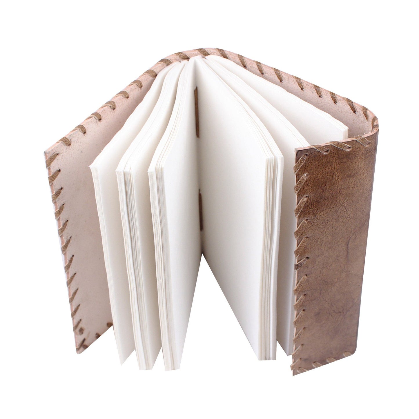 Seedling Leather Notebook - Concordia Style Boutique