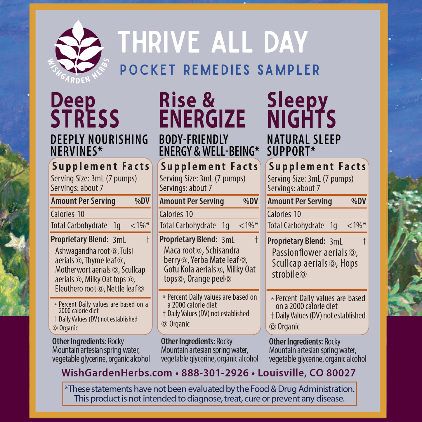 Thrive All Day 3-Pack - Concordia Style Boutique