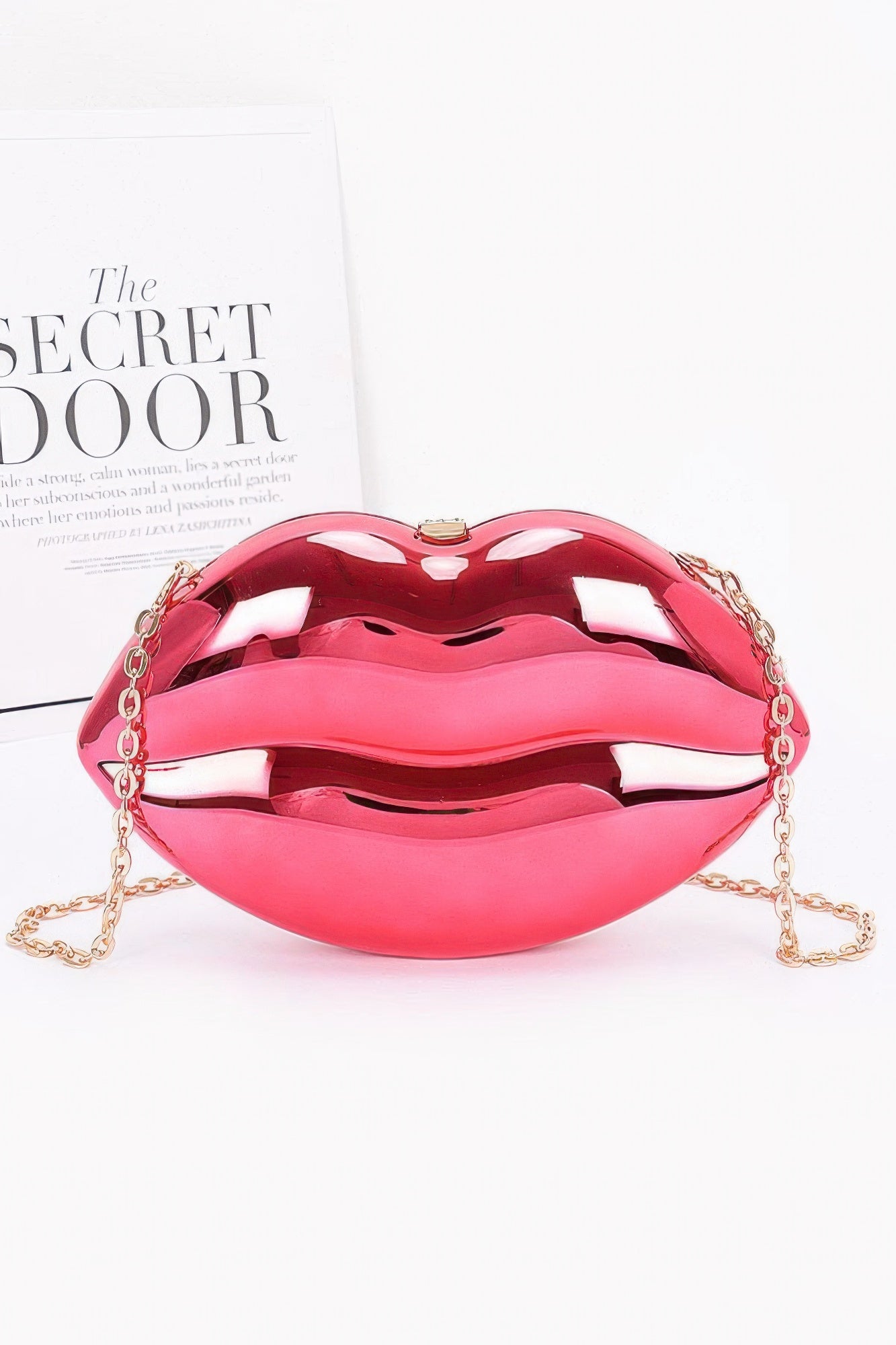 Acrylic Case Bag - Concordia Style Boutique