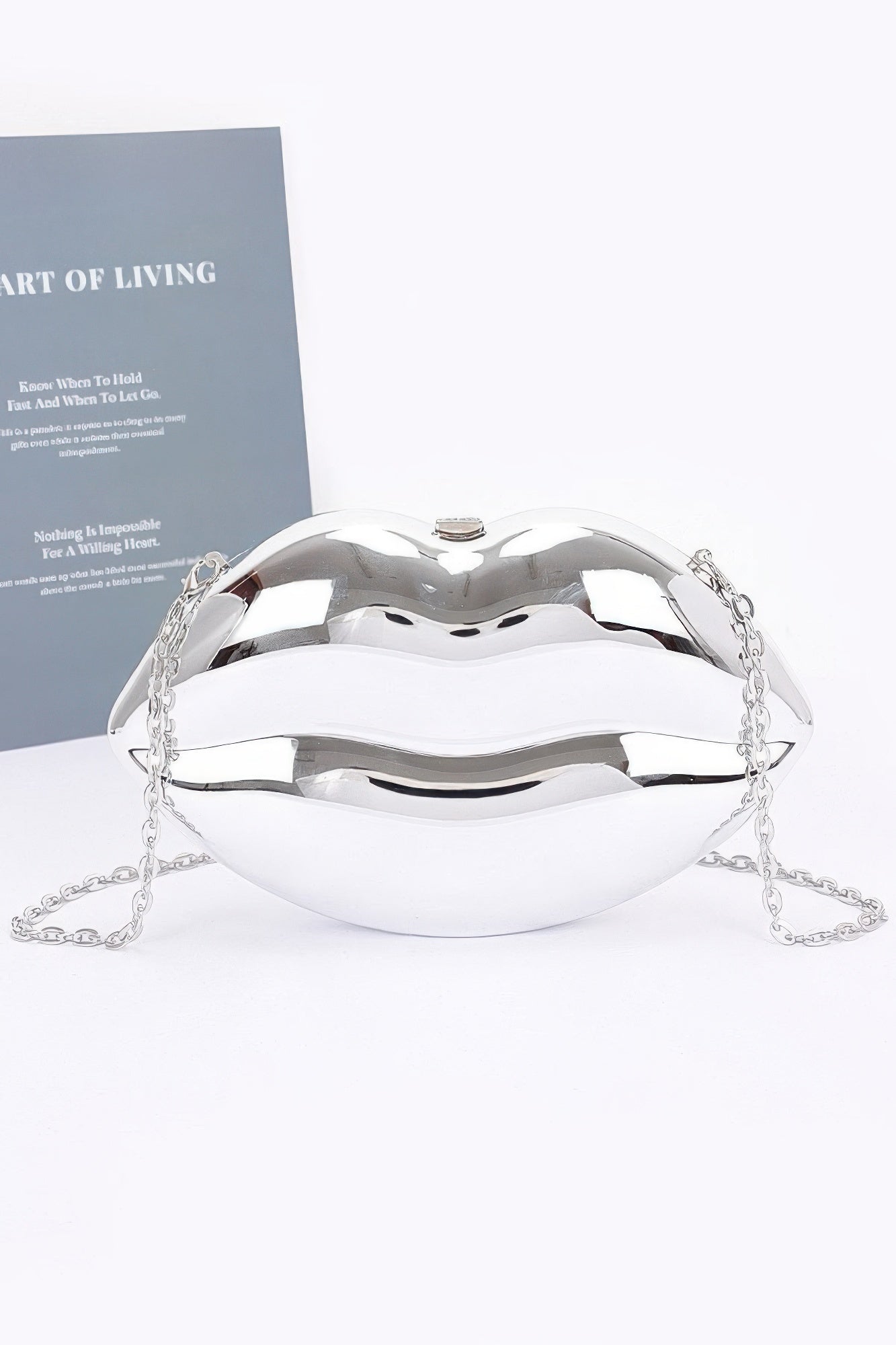 Acrylic Case Bag - Concordia Style Boutique