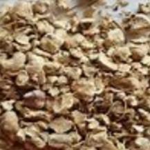 Wild Yam Root | Hormonal Balance, Cramps & Inflammation Support