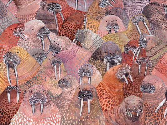 Walrus Colony, Emma Lopes - Concordia Style Boutique
