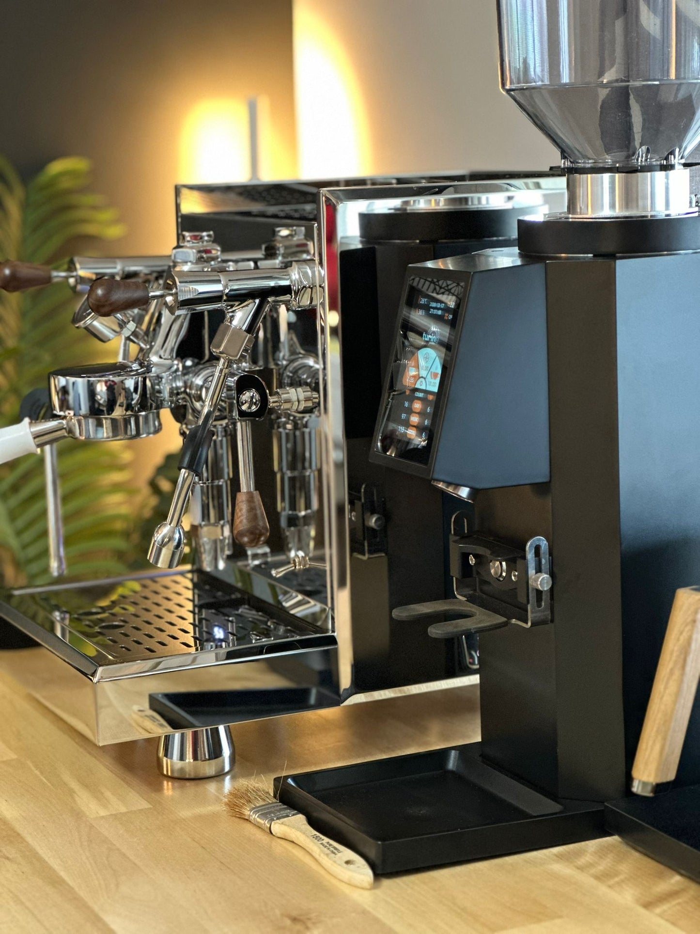 Turin ZF83 Commercial Espresso Grinder - Concordia Style Boutique