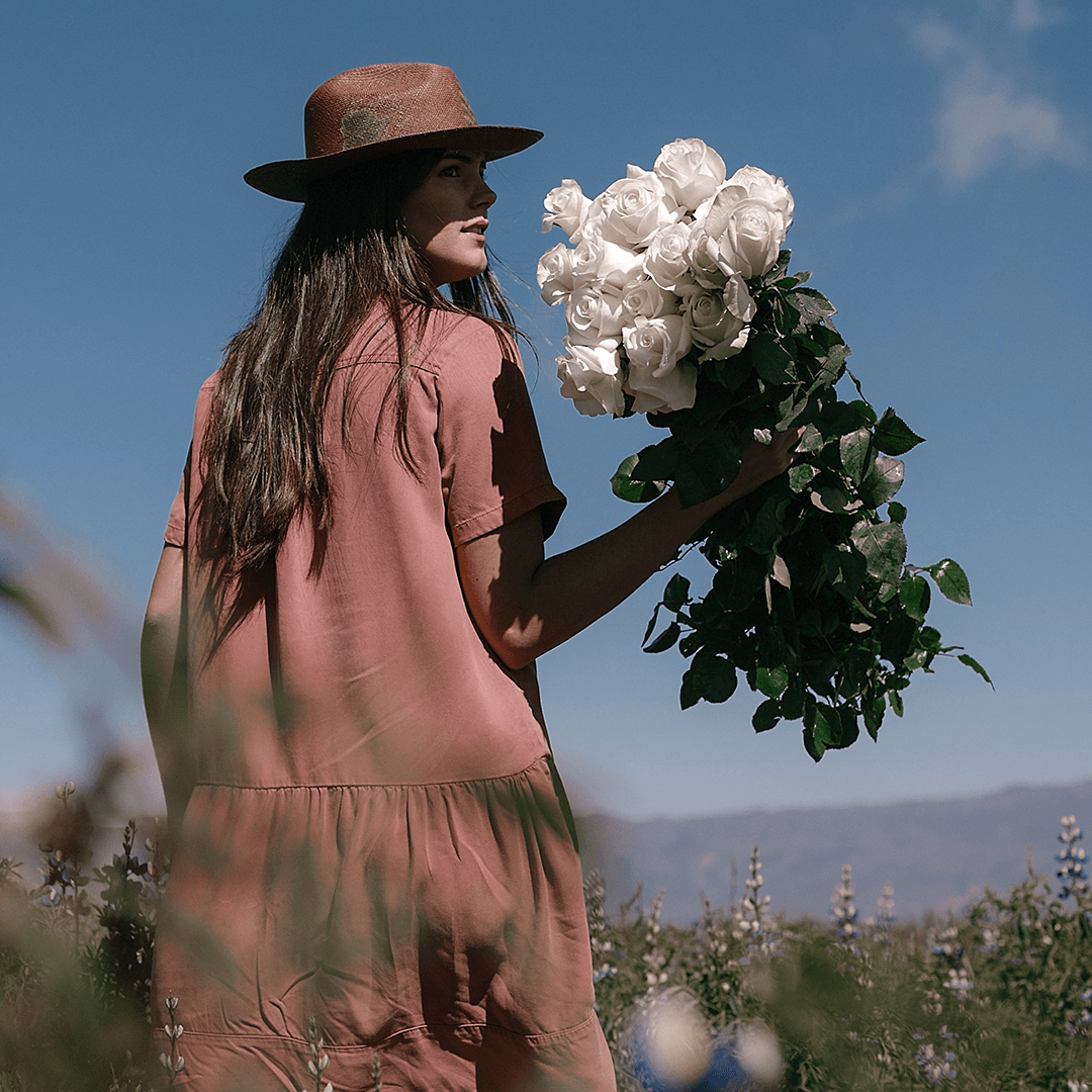 LONG ROSES