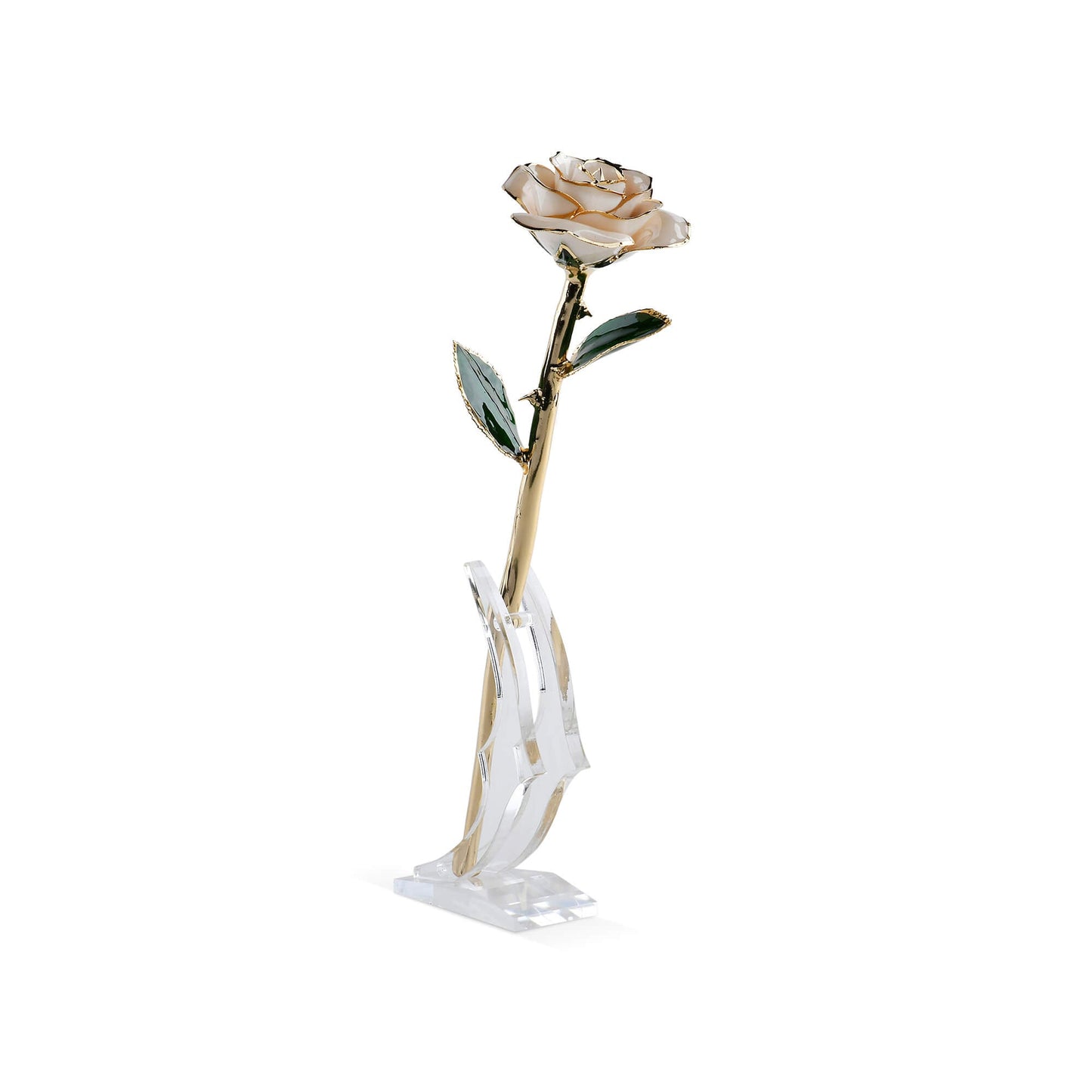 Timeless Rose (White) - Concordia Style Boutique