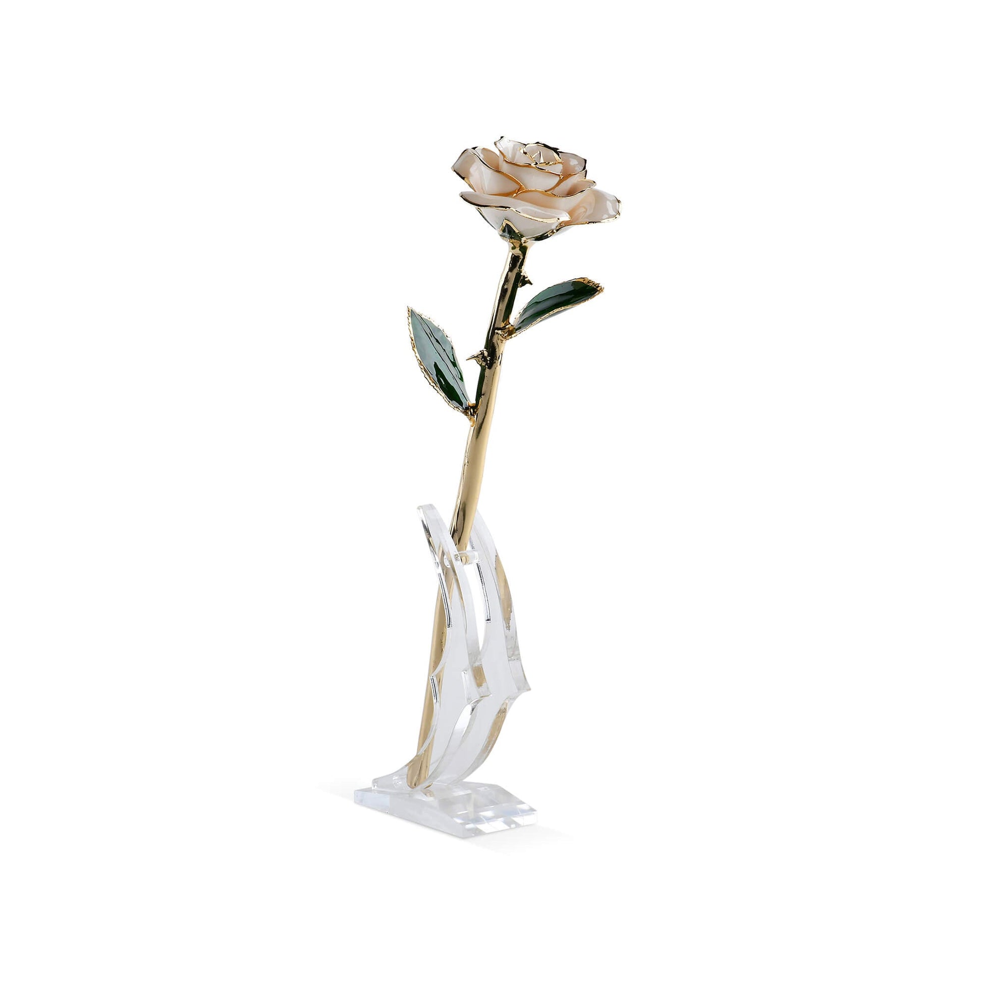 Timeless Rose (White) - Concordia Style Boutique